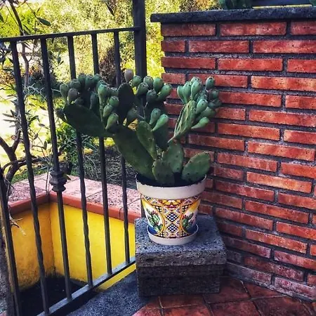 Opuntia Dell'etna Bike House * Mascalucia