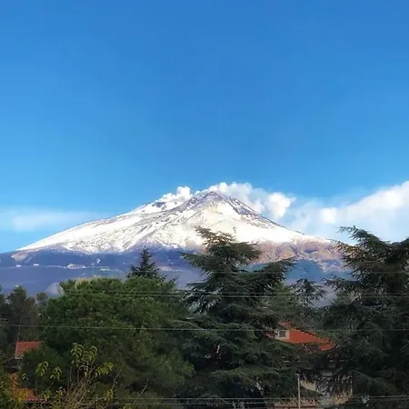 Opuntia Dell'etna Bike House