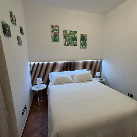 Opuntia Dell'etna Bike House Mascalucia