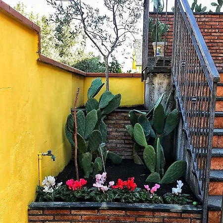 Opuntia Dell'etna Bike House *