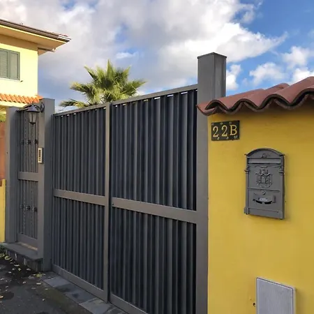 Opuntia Dell'etna Bike House Mascalucia